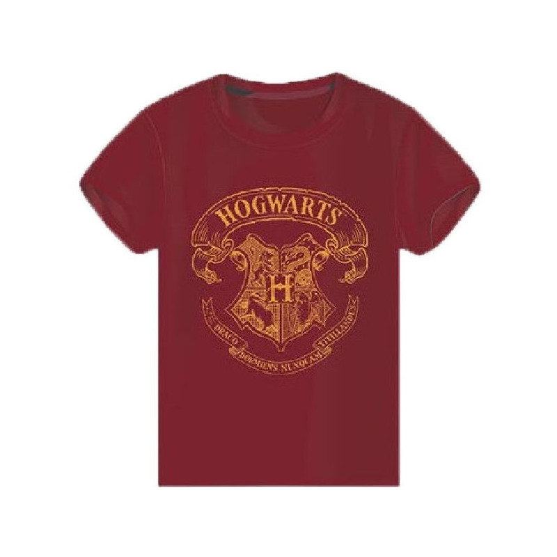 Sudadera Escudo Gryffindor Negro - Harry Potter